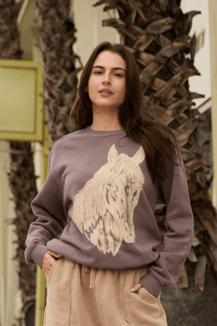 Stallion Sweatshirt by People of Leisure — 100% organic cotton, relaxed fit, ethically made in LA. Sizes XS–XL